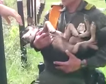 В Колумбии полицейские спасли из бурной реки собаку